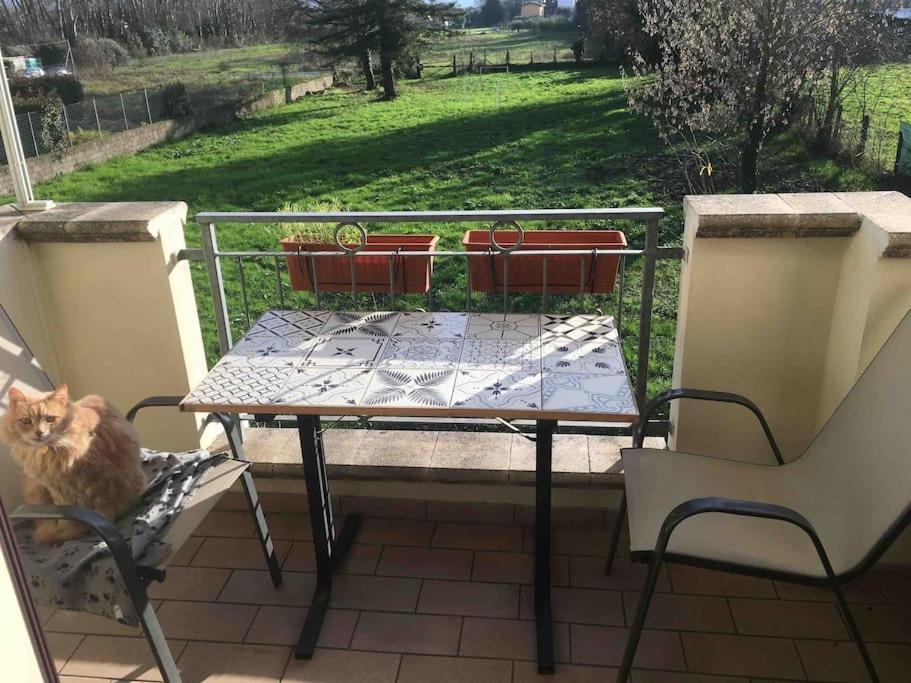 Piccolo Borgo Apartment ลุคคา ภายนอก รูปภาพ